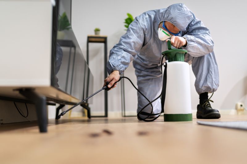 Attic Pest Control