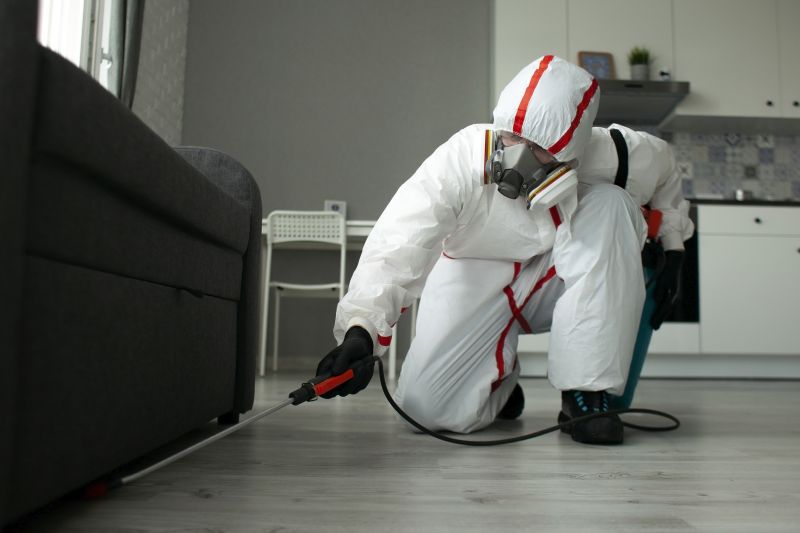 Attic Pest Control