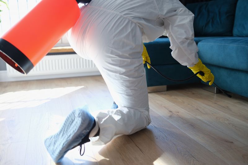 Rat Fumigation Service in Naperville, IL