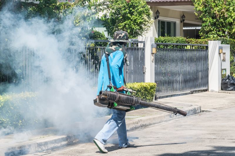 Spider Fumigation Service in Fredericksburg, VA