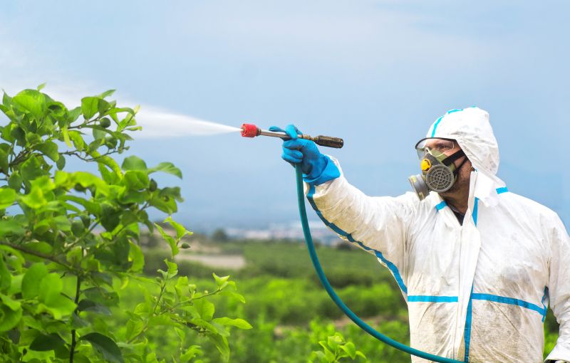Spider Fumigation Service in Coeur D Alene, ID